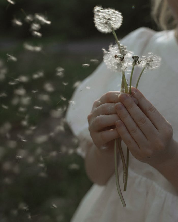 A person holding dandelions in a soft breeze, symbolizing tranquility and natures beauty.